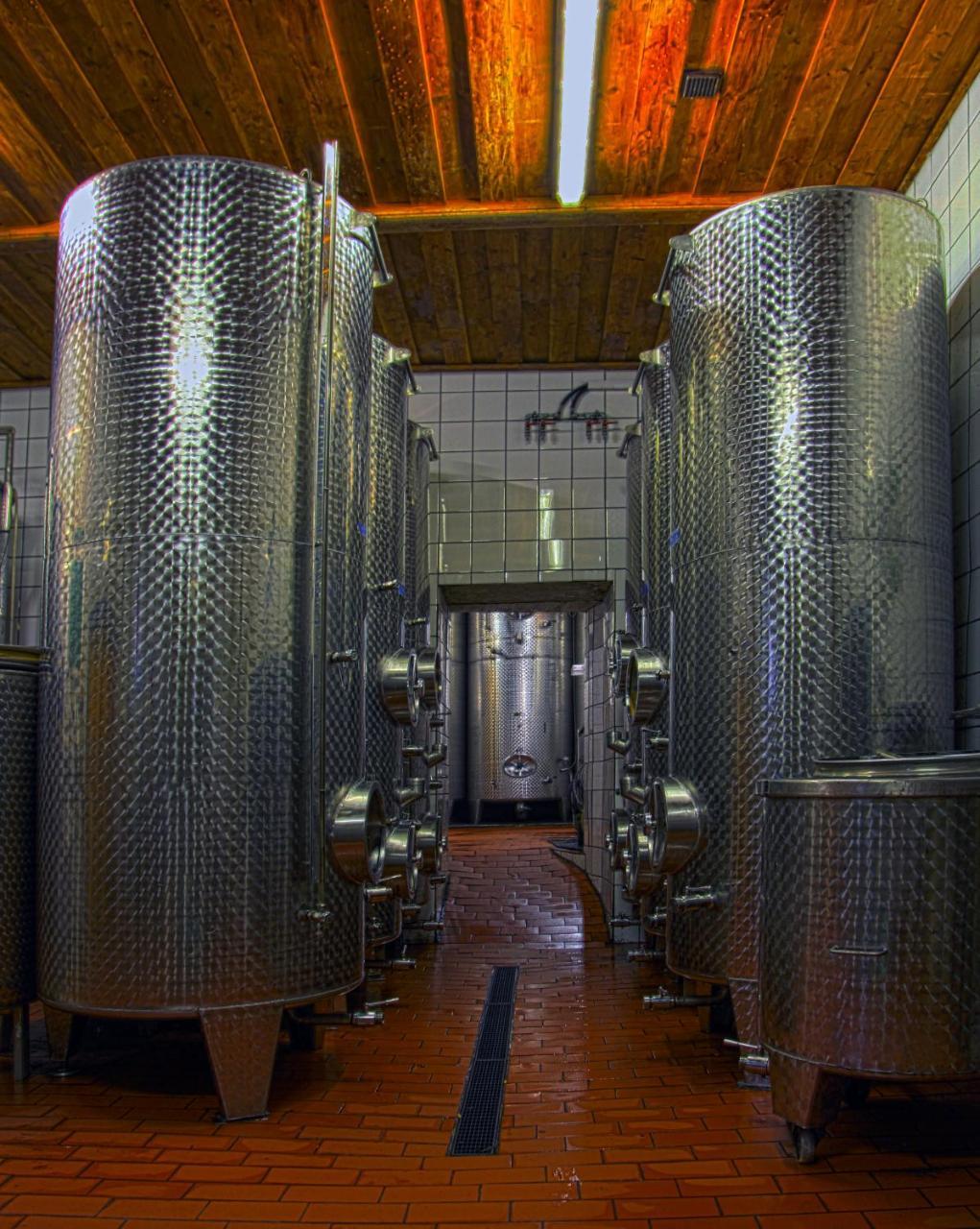 Ferienwohnung Am Weingut Eisenbock Strass  Exterior photo